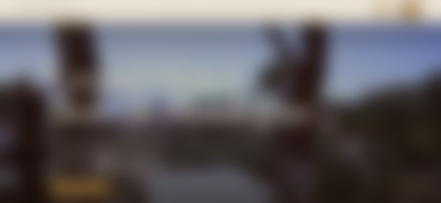 Client website in production
